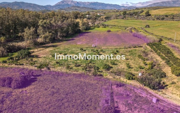 Revente - Villa - Intérieur                       - Coín