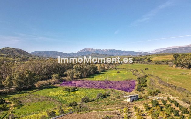 Revente - Villa - Intérieur                       - Coín