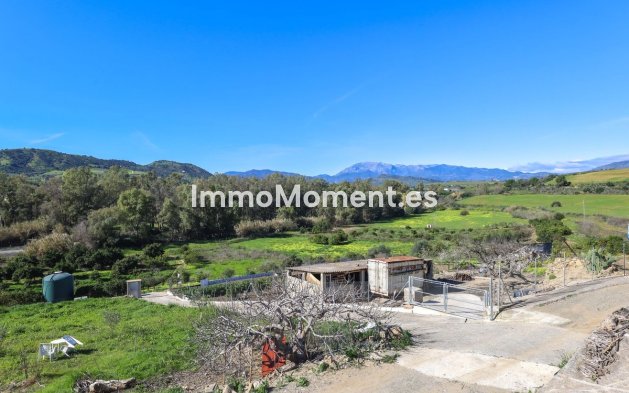 Revente - Villa - Intérieur                       - Coín