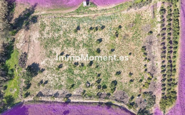 Revente - Villa - Intérieur                       - Coín