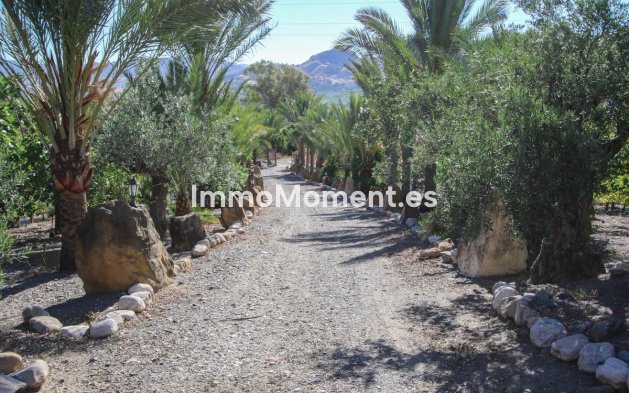 Reventa - Villa - Interior  - Pizarra