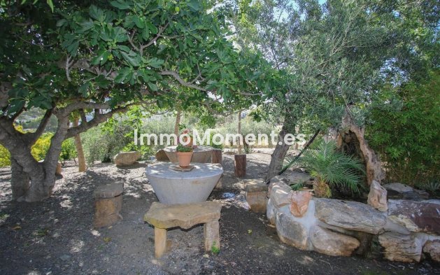 Reventa - Villa - Interior  - Pizarra