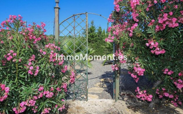 Reventa - Villa - Interior  - Pizarra