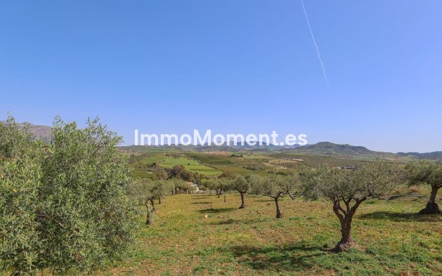 Reventa - Casa de campo - Interior  - Alora