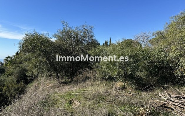 Wiederverkauf - Land - Marbella - Elviria