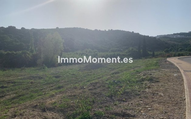 Revente - Terrain - Casares - Casares Centro