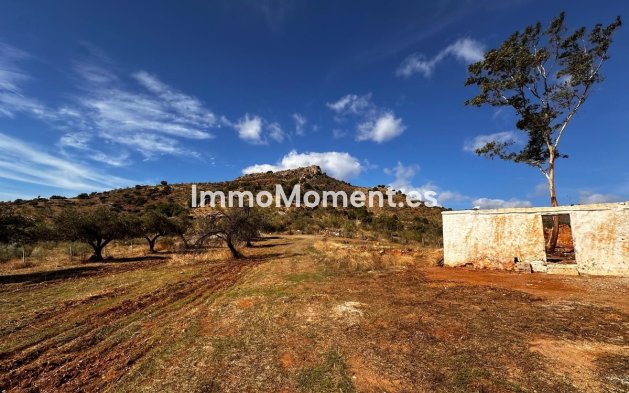 Reventa - Terreno - Interior  - Almogía