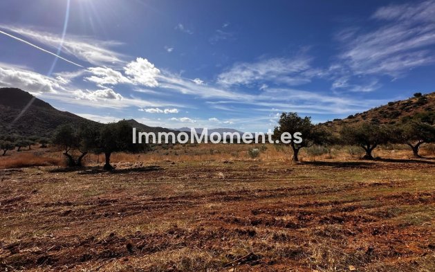 Reventa - Terreno - Interior  - Almogía