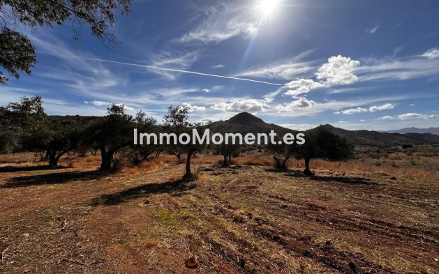 Reventa - Terreno - Interior  - Almogía