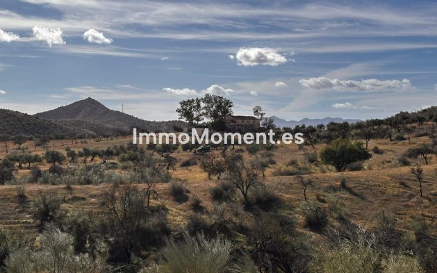 Reventa - Terreno - Interior  - Almogía