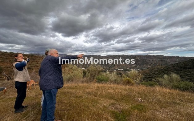 Reventa - Terreno - Interior  - Almogía
