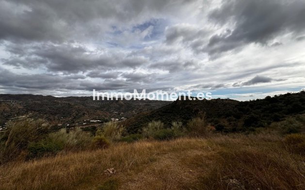 Reventa - Terreno - Interior  - Almogía