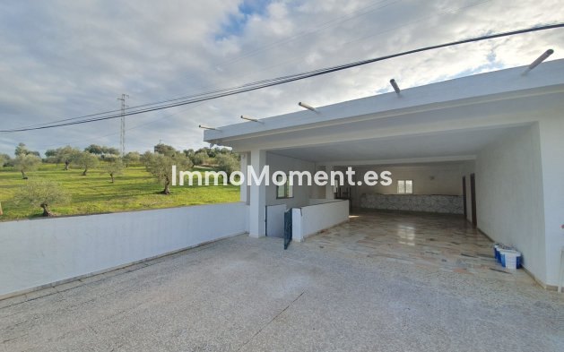 Reventa - Villa - Interior  - Guaro