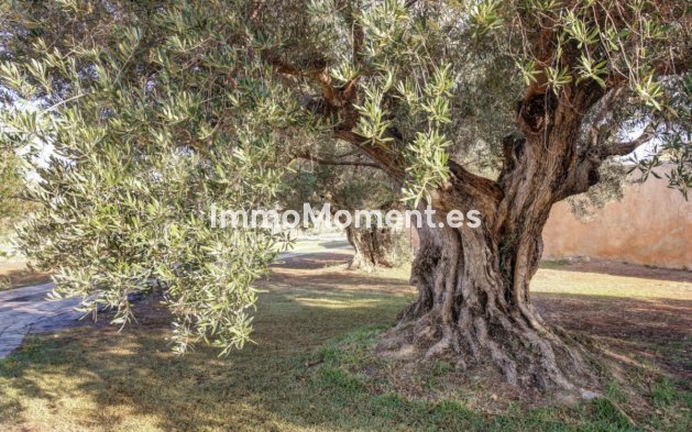 Revente - Maison de campagne - Teulada - Moraira
