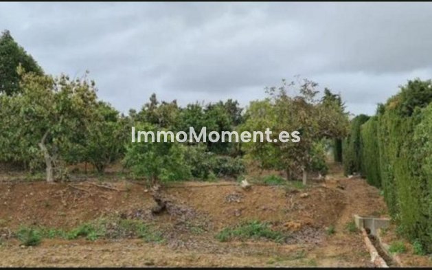 Bestaande woning - Landhuis - Mijas - Campo Mijas