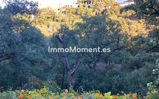 Nieuwbouw - Grond - Marbella - Elviria