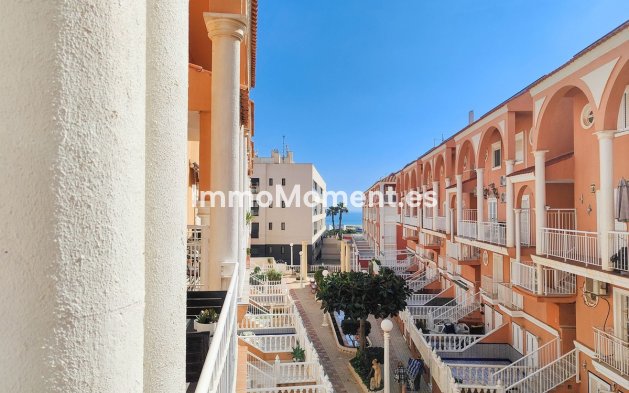 Wiederverkauf - Wohnung - Torrevieja - La Mata