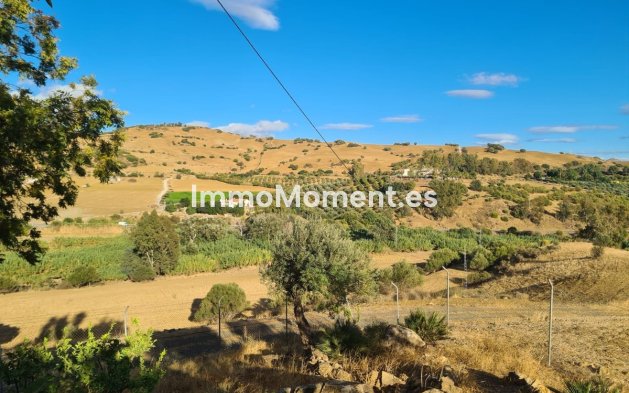 Reventa - Casa de campo - Interior  - Pizarra