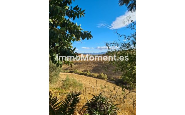 Reventa - Casa de campo - Interior  - Pizarra