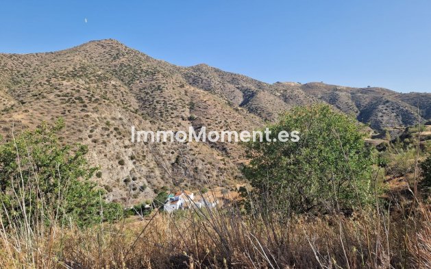 Reventa - Casa de campo - Interior  - Pizarra