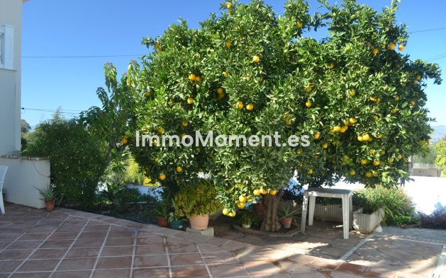 Revente - Villa - Intérieur                       - Alhaurín de la Torre