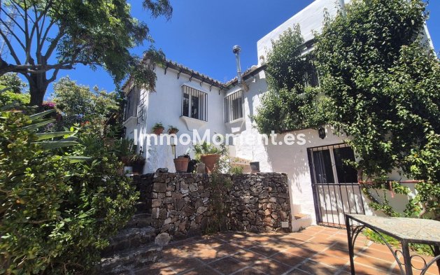 Revente - Maison de campagne - Intérieur                       - Alhaurín el Grande Centro