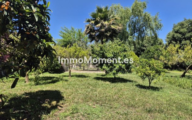 Revente - Maison de campagne - Intérieur                       - Alhaurín el Grande Centro