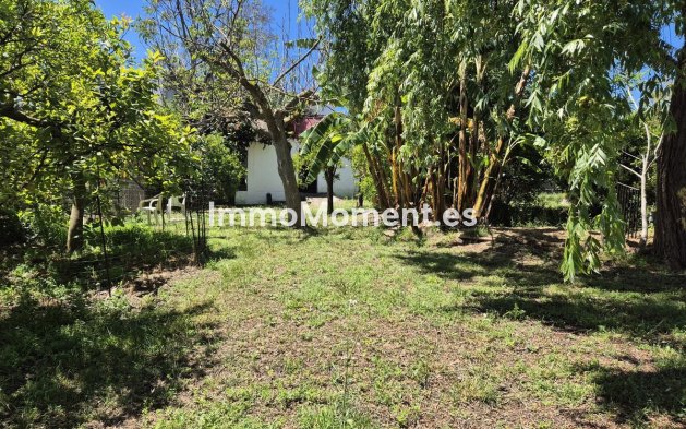 Revente - Maison de campagne - Intérieur                       - Alhaurín el Grande Centro