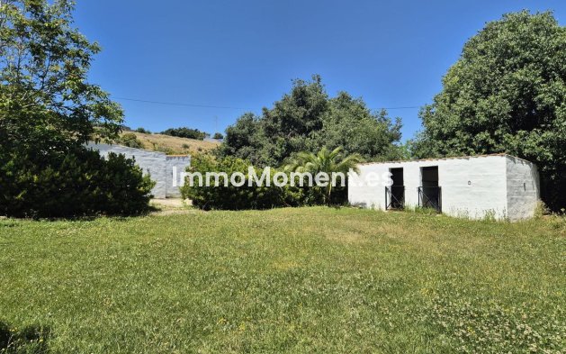 Revente - Maison de campagne - Intérieur                       - Alhaurín el Grande Centro