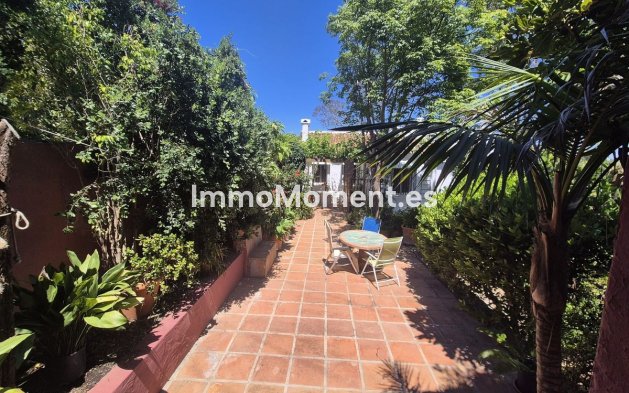 Revente - Maison de campagne - Intérieur                       - Alhaurín el Grande Centro