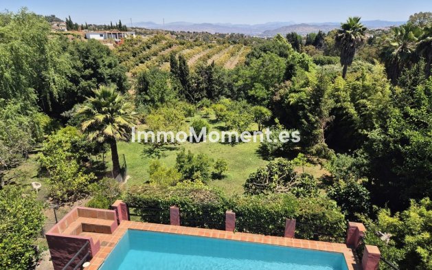 Revente - Maison de campagne - Intérieur                       - Alhaurín el Grande Centro