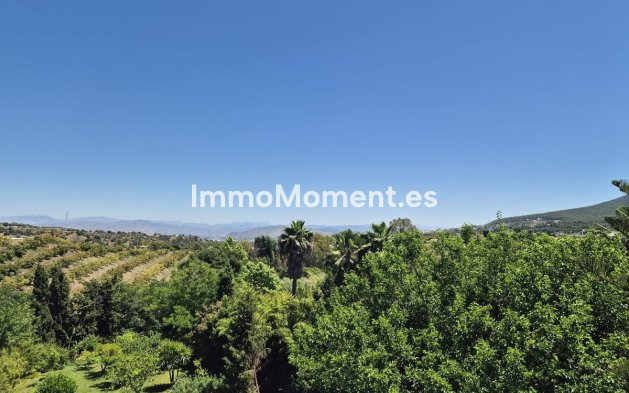 Revente - Maison de campagne - Intérieur                       - Alhaurín el Grande Centro