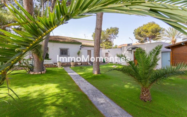Revente - Villa - Orihuela - Campoamor