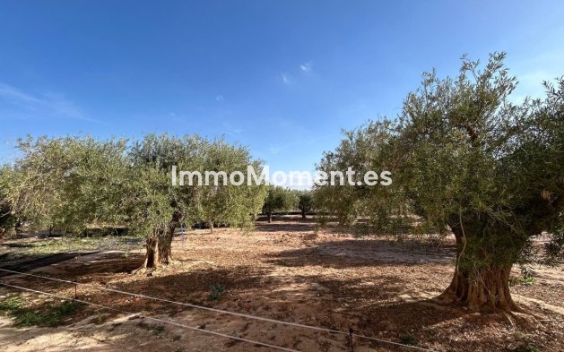 Wiederverkauf - Villa - Fuente Alamo - Fuente Álamo de Murcia