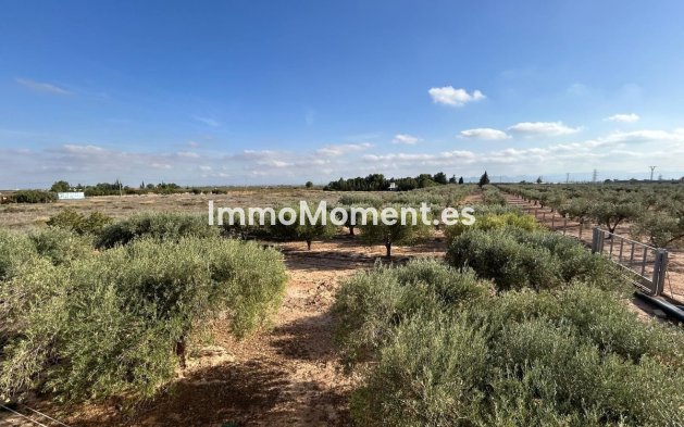 Wiederverkauf - Villa - Fuente Alamo - Fuente Álamo de Murcia