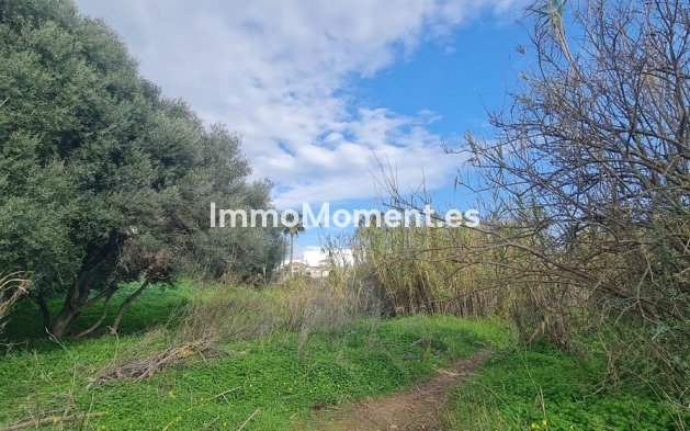 Bestaande woning - Perceel - Mijas - Campo Mijas
