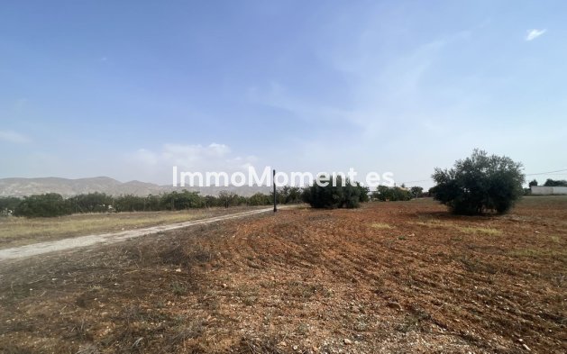 Revente - Maison de campagne - Intérieur                       - Alhaurín de la Torre