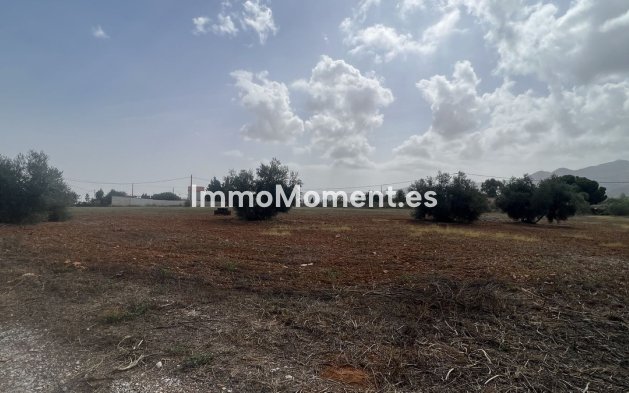 Revente - Maison de campagne - Intérieur                       - Alhaurín de la Torre