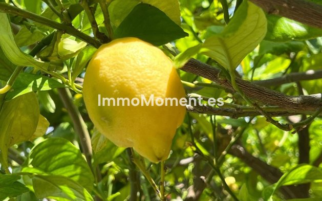 Reventa - Adosado - Interior  - Alhaurín el Grande Centro