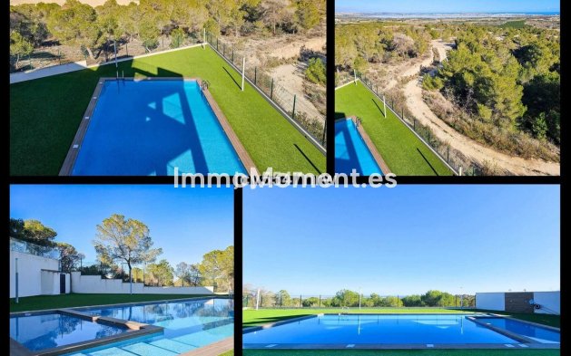 Wiederverkauf - Wohnung - San Miguel de Salinas - San Miguel de Salinas Centro