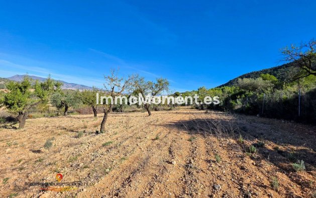 Wiederverkauf - Villa - Abanilla - Abanilla Centro