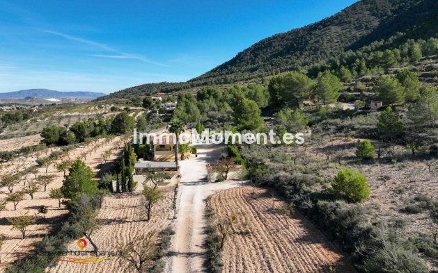 Wiederverkauf - Villa - Abanilla - Abanilla Centro