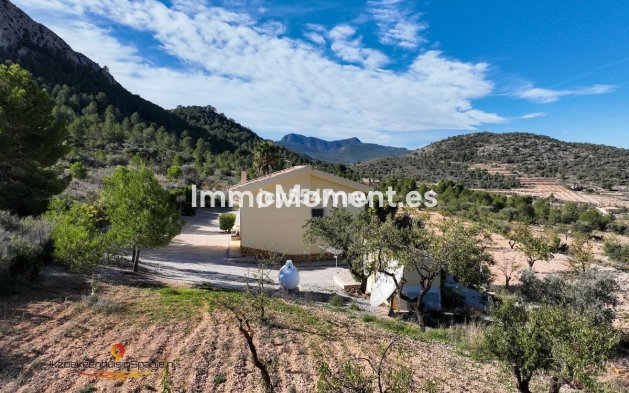 Wiederverkauf - Villa - Abanilla - Abanilla Centro