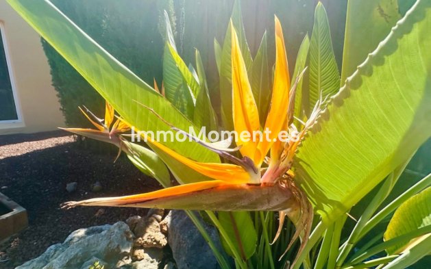 Revente - Villa - Jávea - Jávea - Xàbia Centro