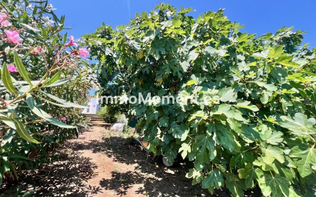 Revente - Villa - Estepona  - Estepona Centro