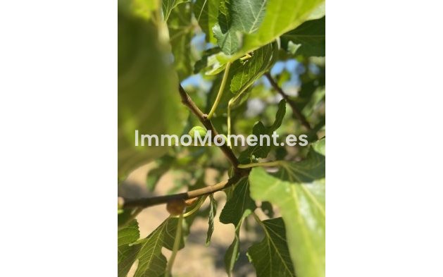 Revente - Villa - Estepona  - Estepona Centro