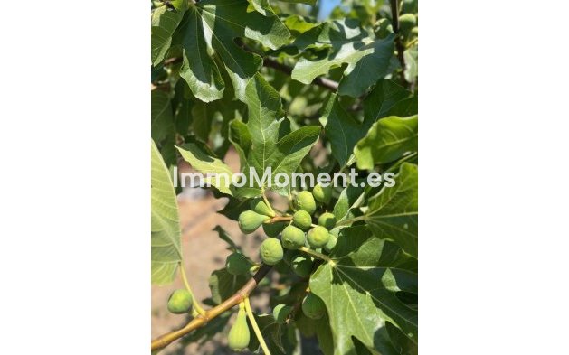 Revente - Villa - Estepona  - Estepona Centro