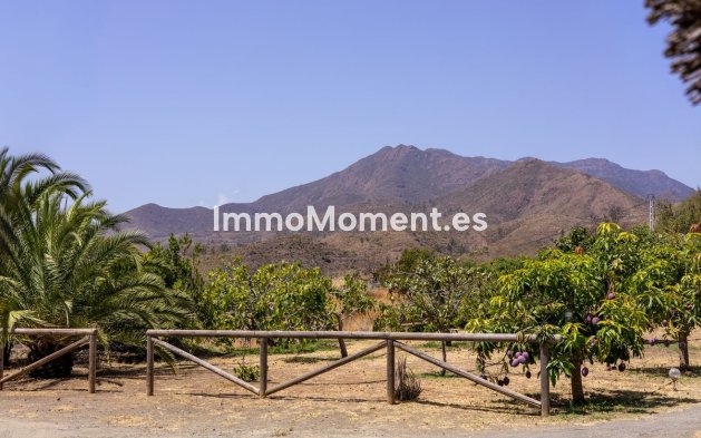Reventa - Villa - Interior  - Alhaurín el Grande Centro