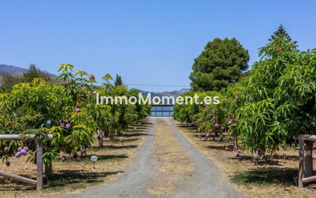 Reventa - Villa - Interior  - Alhaurín el Grande Centro