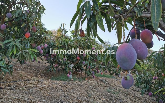 Reventa - Villa - Interior  - Alhaurín el Grande Centro